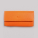 Boldrini, , 293-arancio